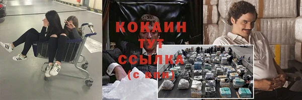 эйфоретик Алексин