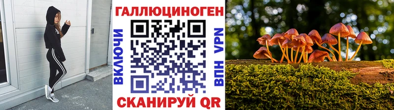 Псилоцибиновые грибы GOLDEN TEACHER  где купить наркоту  Омутнинск 